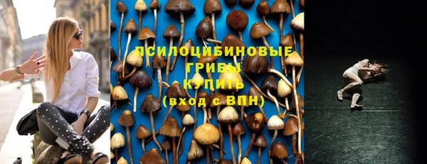 mdpv Магас