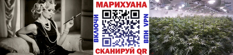 Купить закладки  Приозерск  Бошки Шишки тримм 